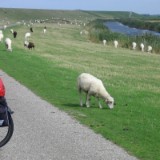 0609F 59 Rotterdam-Leer